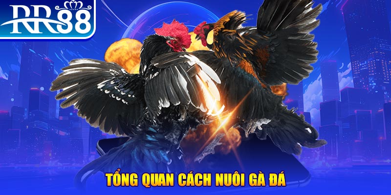 sun88 game nổ hũ rút tiền mặt là gì