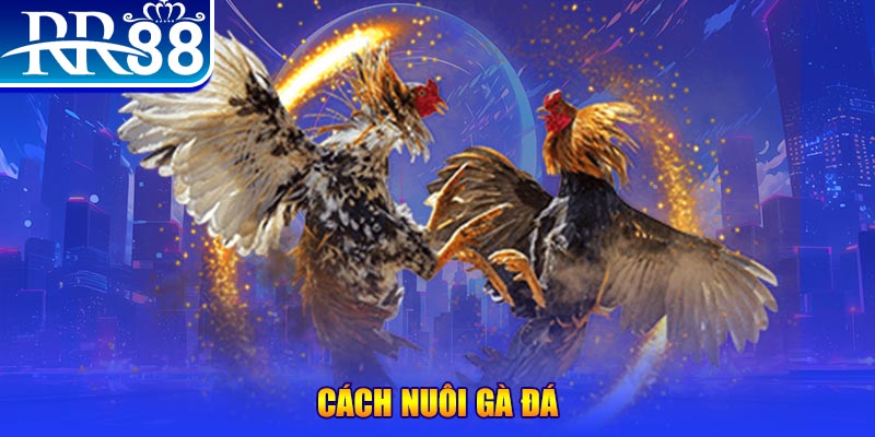 sun88 đăng nhập phỏm đổi thưởng