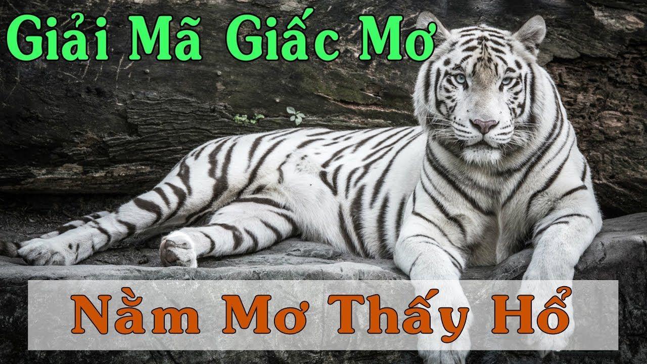 nổ hũ là game gì