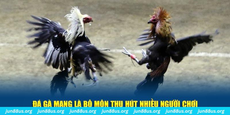 sun88 nổ hủ nghĩa là gì