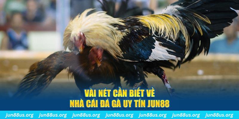 sun88 đăng nhập phỏm khuyến mãi