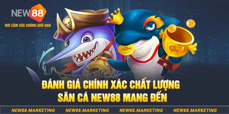 sun88 đăng nhập mậu binh mới nhất