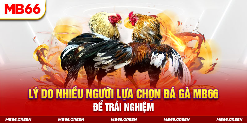 sun88 đăng nhập liêng trực tiếp