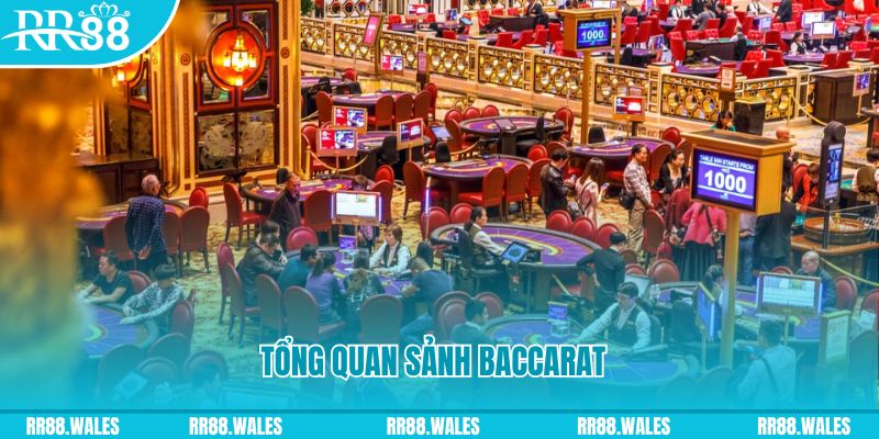 sun88 đăng nhập roulette