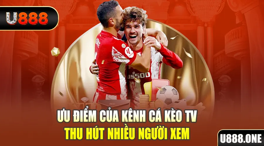 sun88 gà chọi cu cần