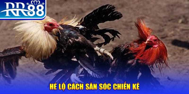 sun88 xổ số miền trung thứ tư