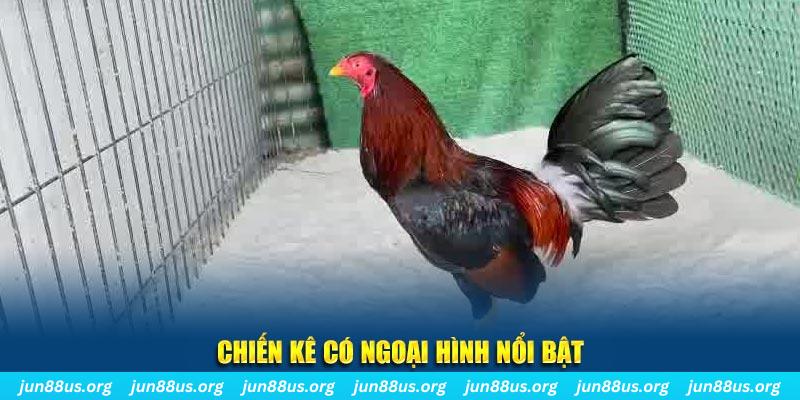 sun88 game bắn cá